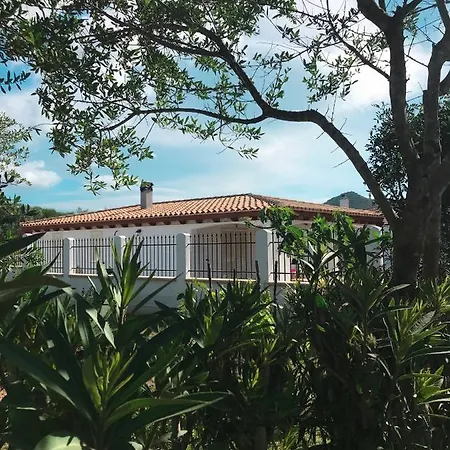 La Casa Dell Olivo Castiadas