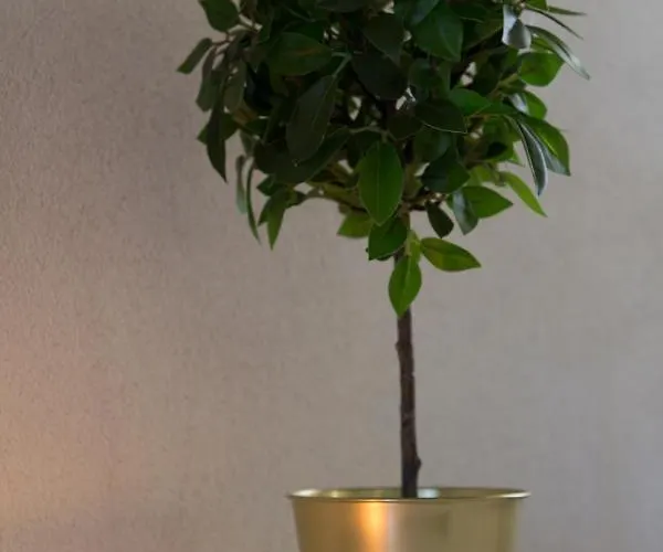 La Casa Dell Olivo Villa Castiadas