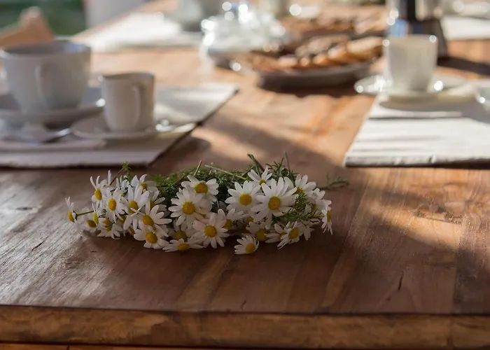 La Casa Dell Olivo Villa Castiadas