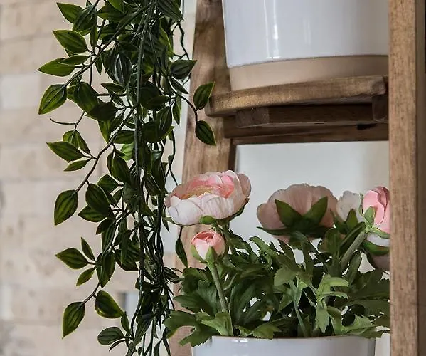 Villa La Casa Dell Olivo *